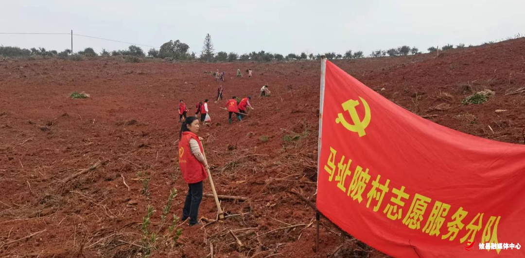 【党旗下的新时代文明实践】谭桥街道马址陂村开展植树志愿服务活动