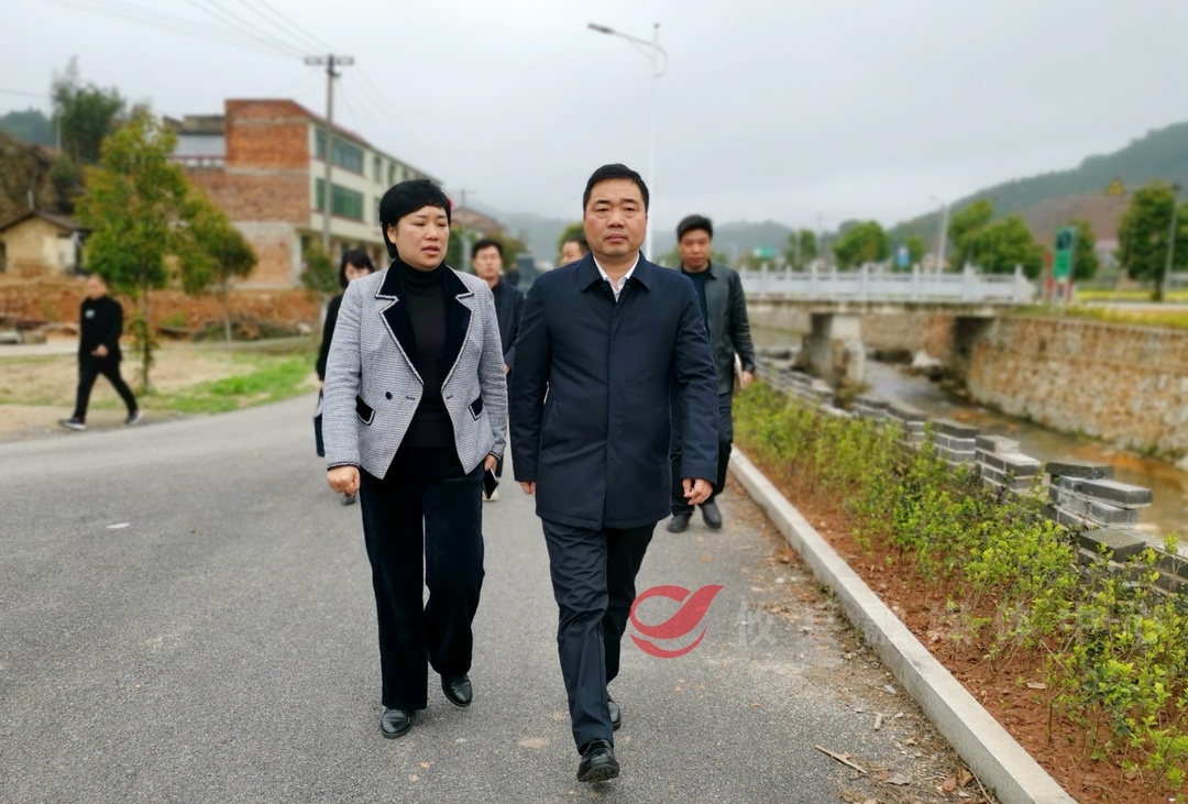 李鹏程深入网岭镇开展联点帮扶工作