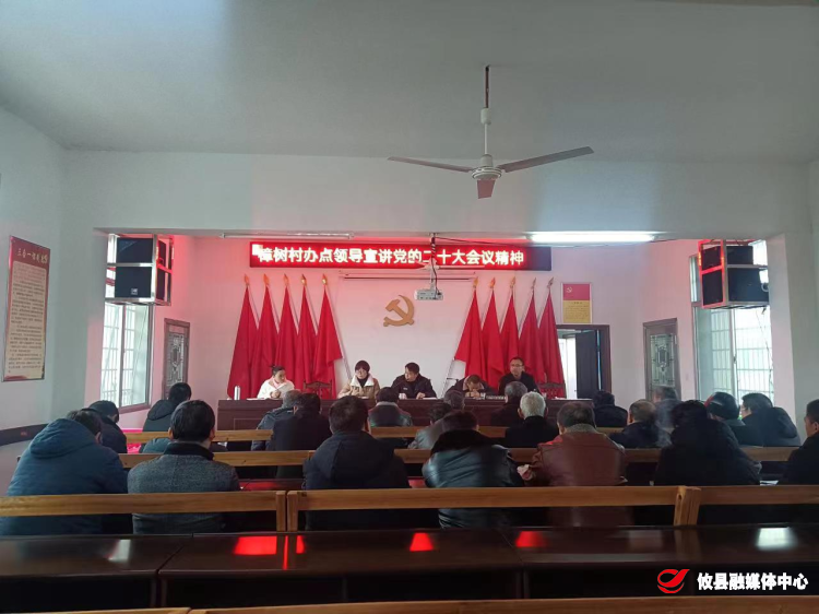 丫江桥镇各村（社区）开展党的二十大精神宣讲活动