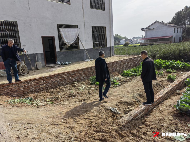 丫江桥镇：坚决打击农村乱占耕地建房行为