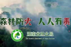 湖南省林业局：森林防火宣传片——《森林防火 人人有责》