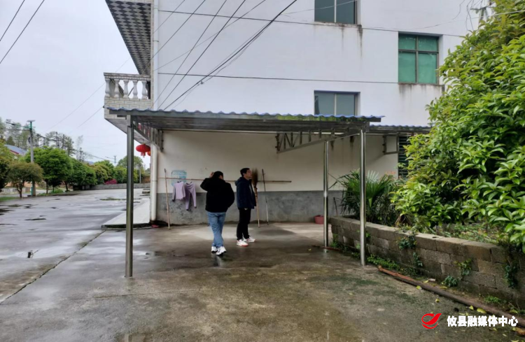 网岭镇：扎实开展图斑整改工作 坚守耕地保护红线