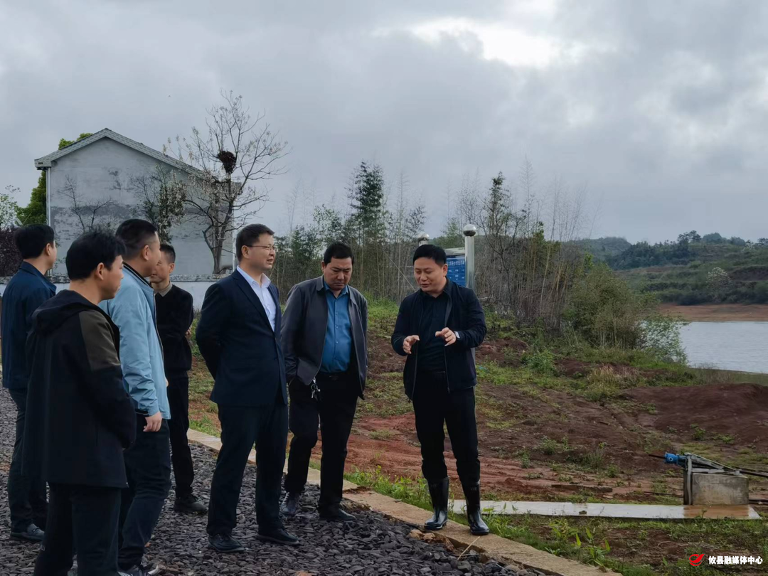 县领导到莲塘坳镇检查指导防汛工作