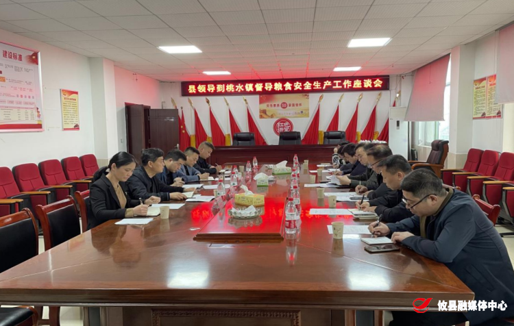 县领导到桃水镇督导粮食安全生产工作