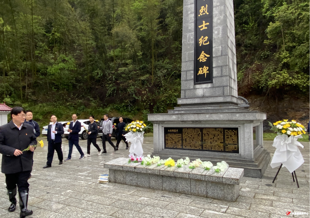 缅怀革命先烈，弘扬民族精神 黄丰桥镇开展清明祭扫活动