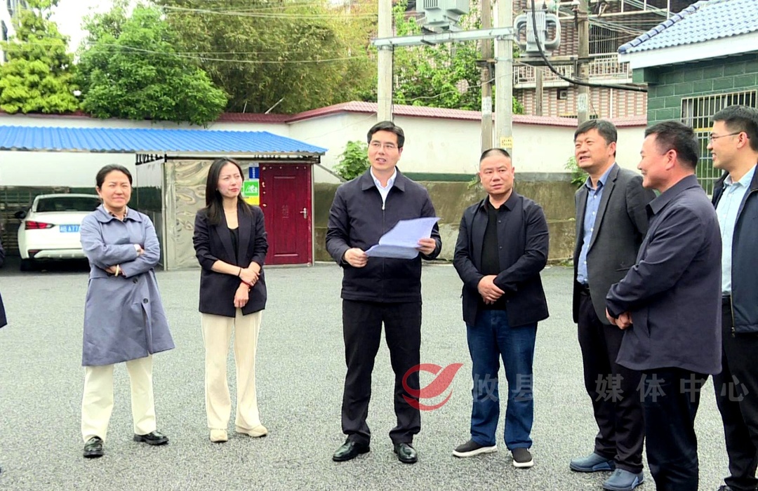 武挪强专题督导国家卫生县城复审工作