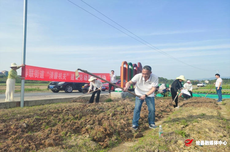 春联街道：“清廉机关”建设进行时 唱响春天生产主旋律