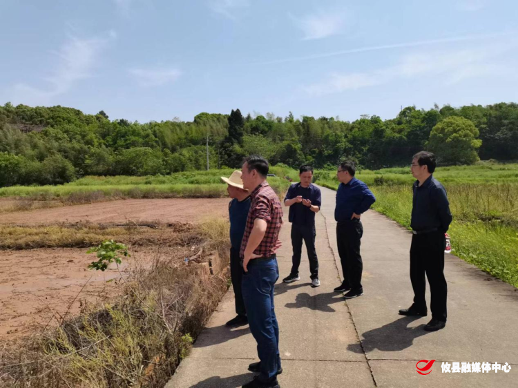 江桥街道：下地头，到田间，全力护航春耕工作