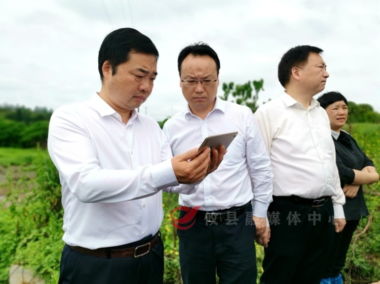 李鹏程督导生态环保工作 强调：以最严要求、最实举措，推动生态环保工作落实落细见成效