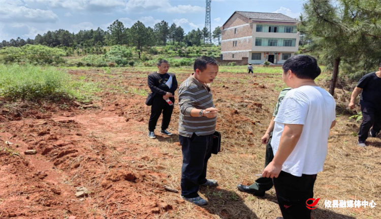 渌田镇：持续推进耕地恢复和“春苗”行动