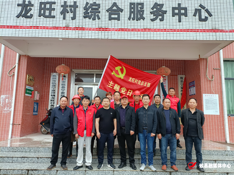 攸县宁家坪镇：雨中党旗别样红