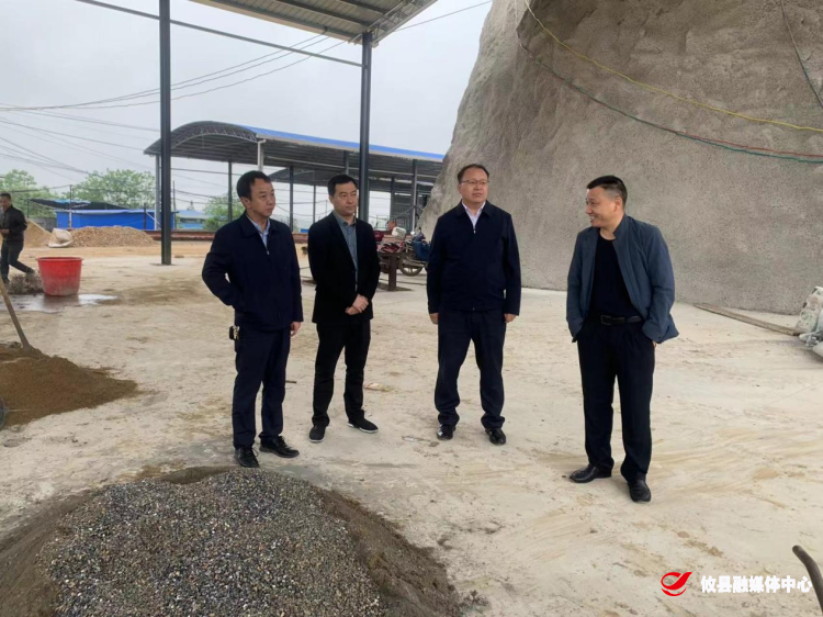 县领导到桃水镇督导安全生产工作
