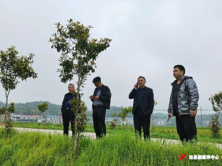 丫江桥镇：全力推进耕地恢复工作