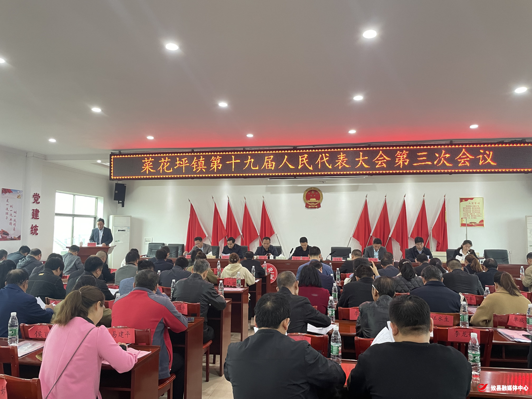 菜花坪镇第十九届人民代表大会第三次会议召开