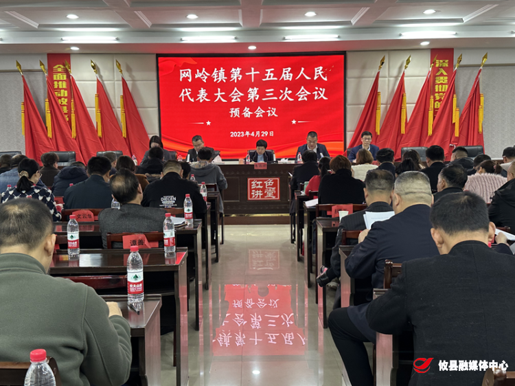 网岭镇召开第十五届人民代表大会第三次会议