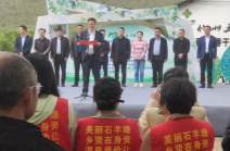 粒粒香甜，石羊塘镇桑果“葚”是好吃！