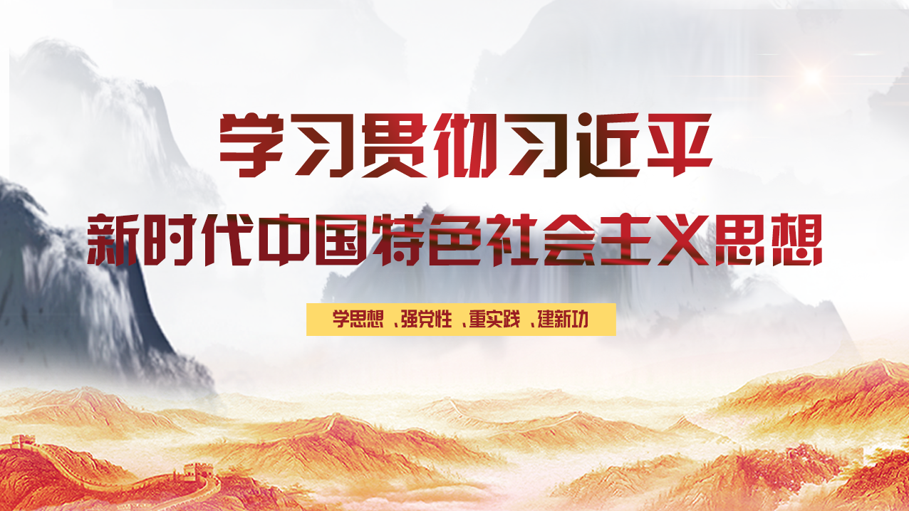 学习贯彻习近平新时代中国特色社会主义思想主题教育