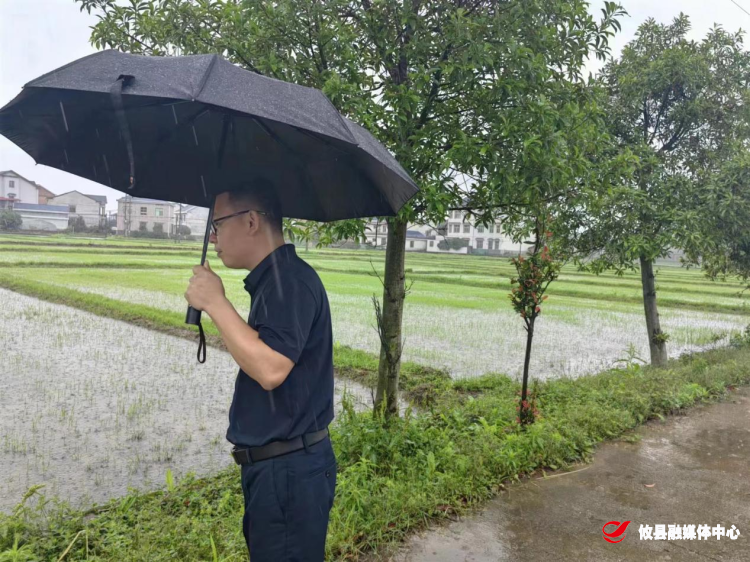 打好早稻生产仗 不误田间一季春