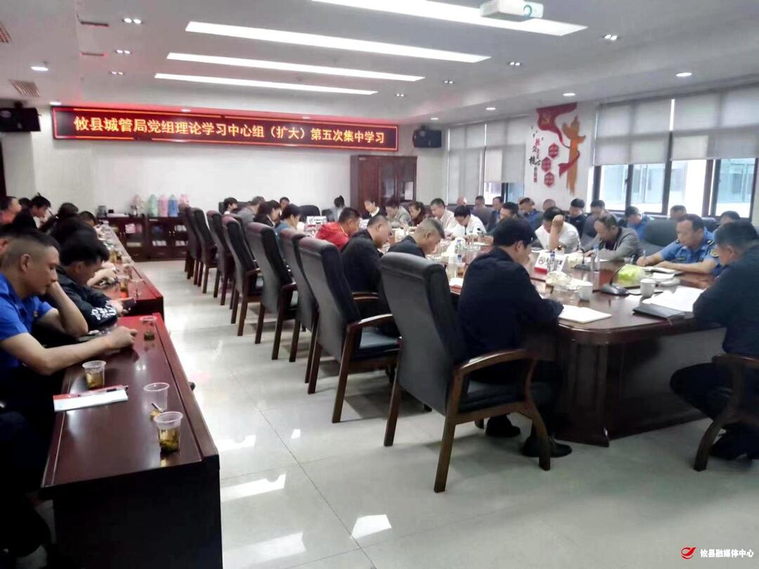 攸县城管局开展理论学习中心组（扩大）第五次集中学习