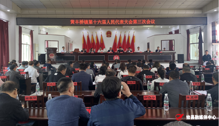 黄丰桥镇召开第十六届人民代表大会第三次会议