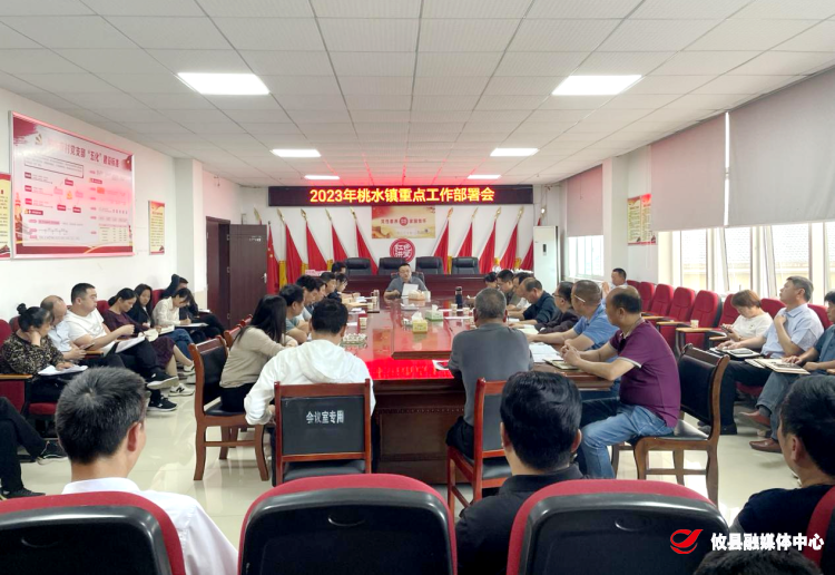 紧盯重点抓落实 精准发力见实效——桃水镇召开重点工作部署会