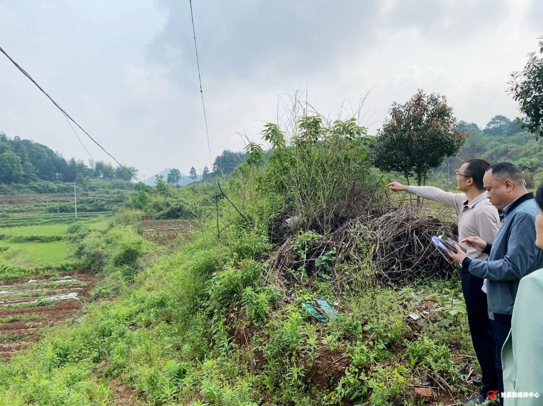 莲塘坳镇：守住耕地红线 扎实推进耕地复耕工作