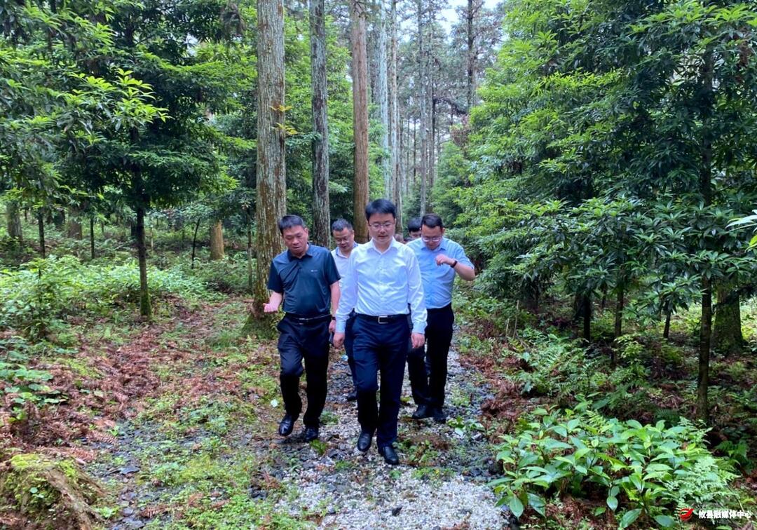 株洲市林业局党组书记、局长林涛一行来攸考察调研林业重点工作