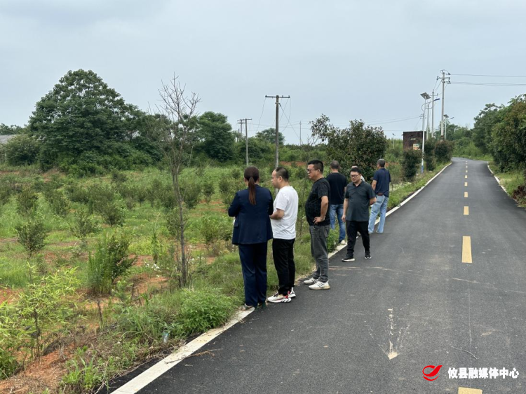 网岭镇：勘现场 解难题 助推项目落地