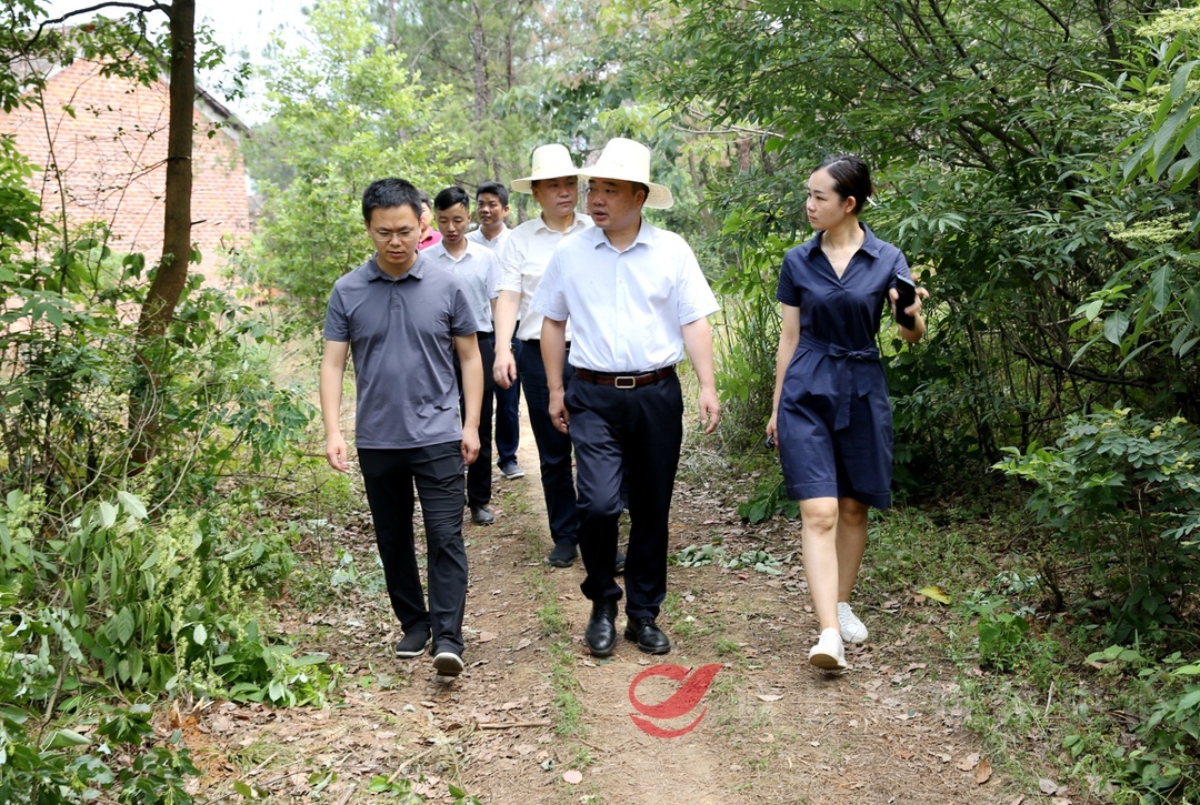 李鹏程在菜花坪镇调研防汛抗旱工作时强调　坚持防汛抗旱“两手抓”　全力以赴保障人民群众生产生活用水