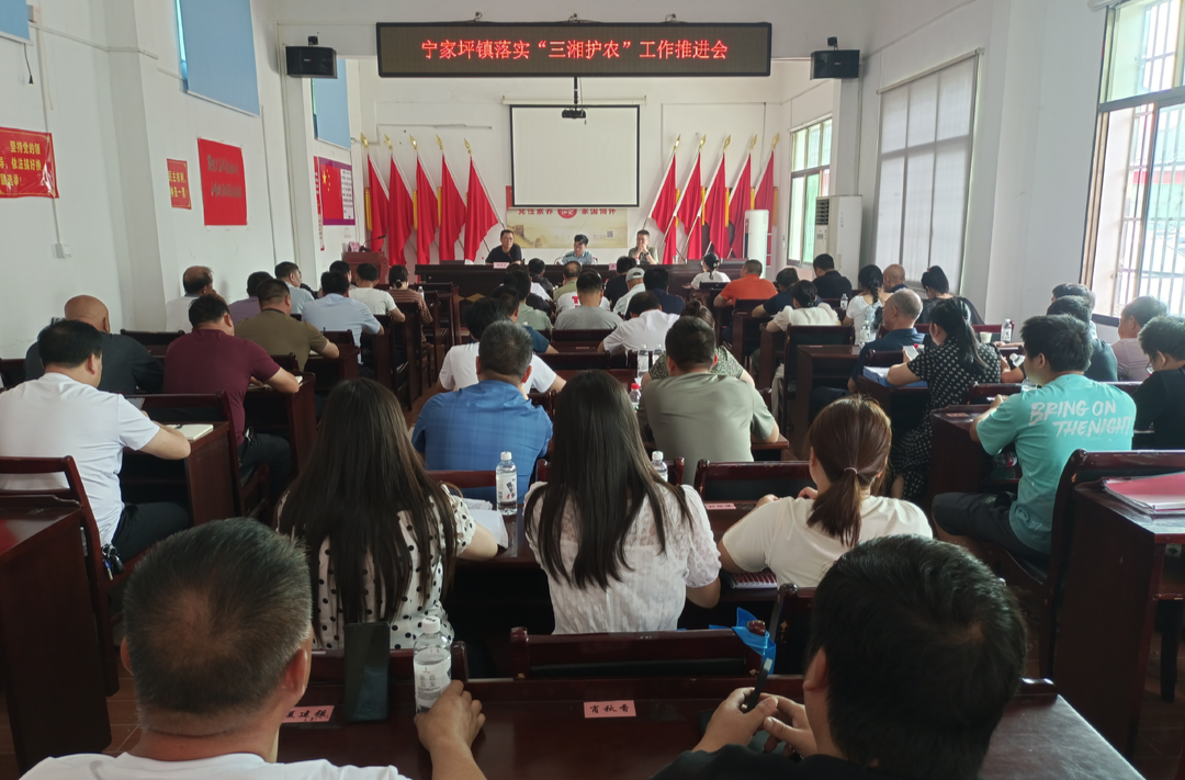 严法纪  守底线——宁家坪镇召开落实“三湘护农”暨农业农村五项补贴资金自查自纠工作推进会