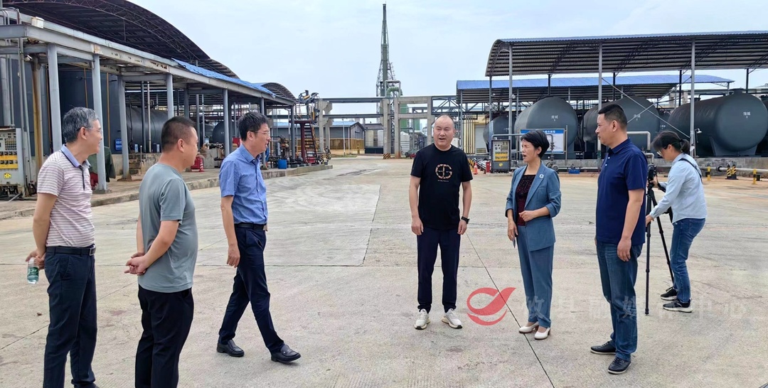周雪辉来攸开展“改善生态环境”专项民主监督