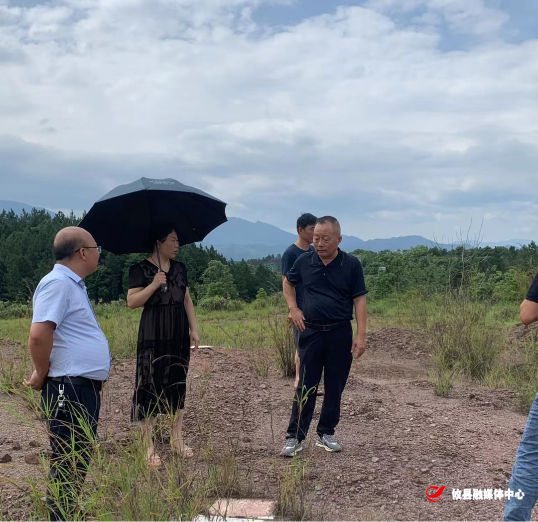 春联街道：持续优化营商环境  全力解决企业用地难题