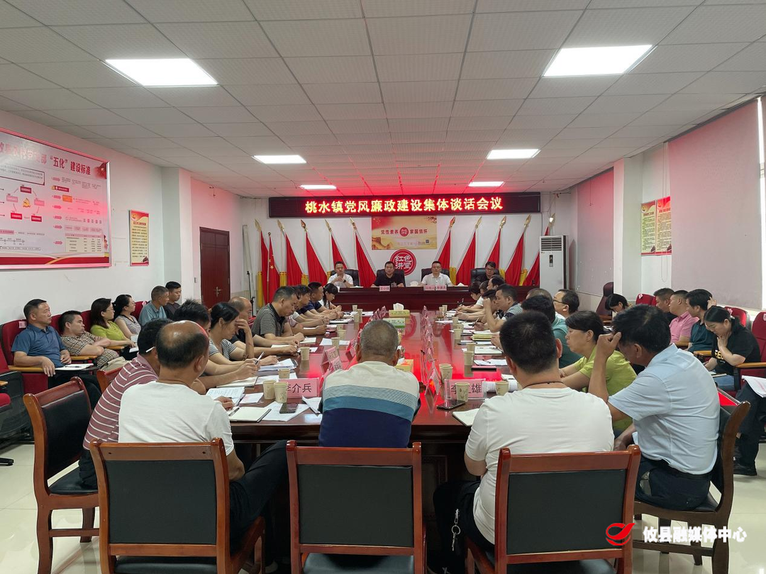 【作风建设年】桃水镇：开展党风廉政集体谈话  强化廉洁履职担当意识