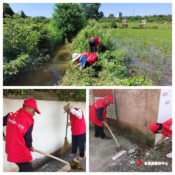 江桥街道：共建清洁美丽世界 建设舒适美丽江桥