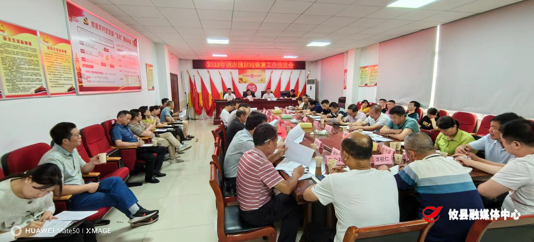 桃水镇：全力推进耕地恢复 严守耕地保护红线