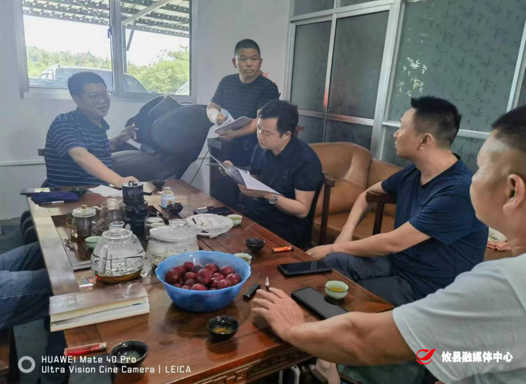 桃水镇：心系企业解难题  跑出发展加速度