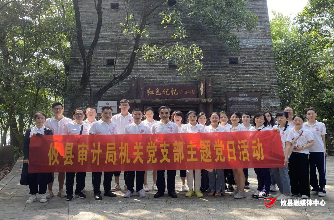 攸县审计局开展庆“七一”党建活动