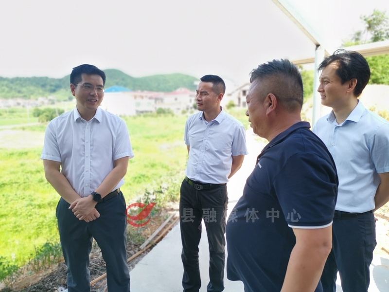 【大兴调查研究】武挪强调研香干产业发展  强调：培优育强香干产业 加快构建现代化产业体系