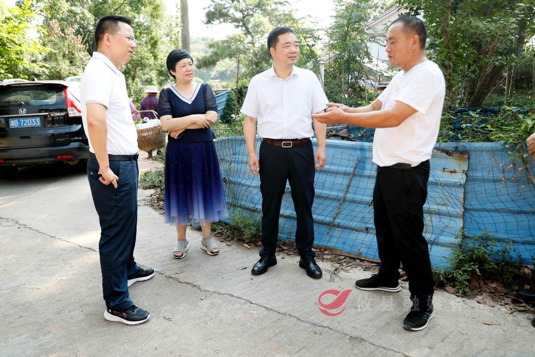 李鹏程赴网岭镇调研乡村振兴及耕地保护工作