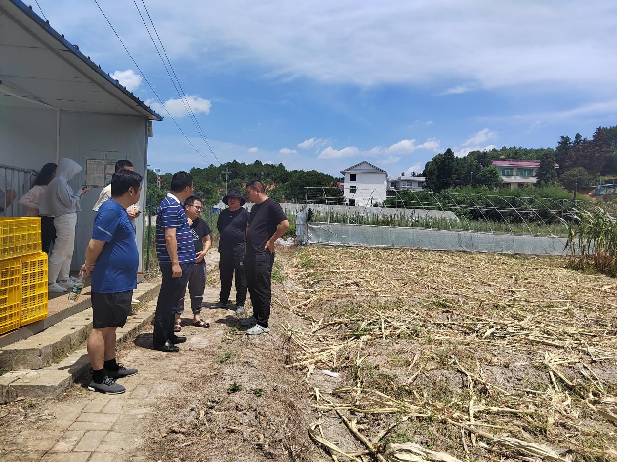 攸县农业农村局圆满完成二季度安全生产和消防安全工作巡查考核