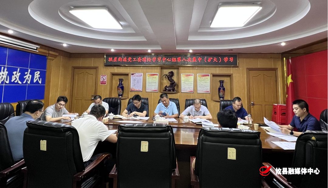 【党声“攸”扬】联星街道党工委理论学习中心组开展第八次集中（扩大）学习