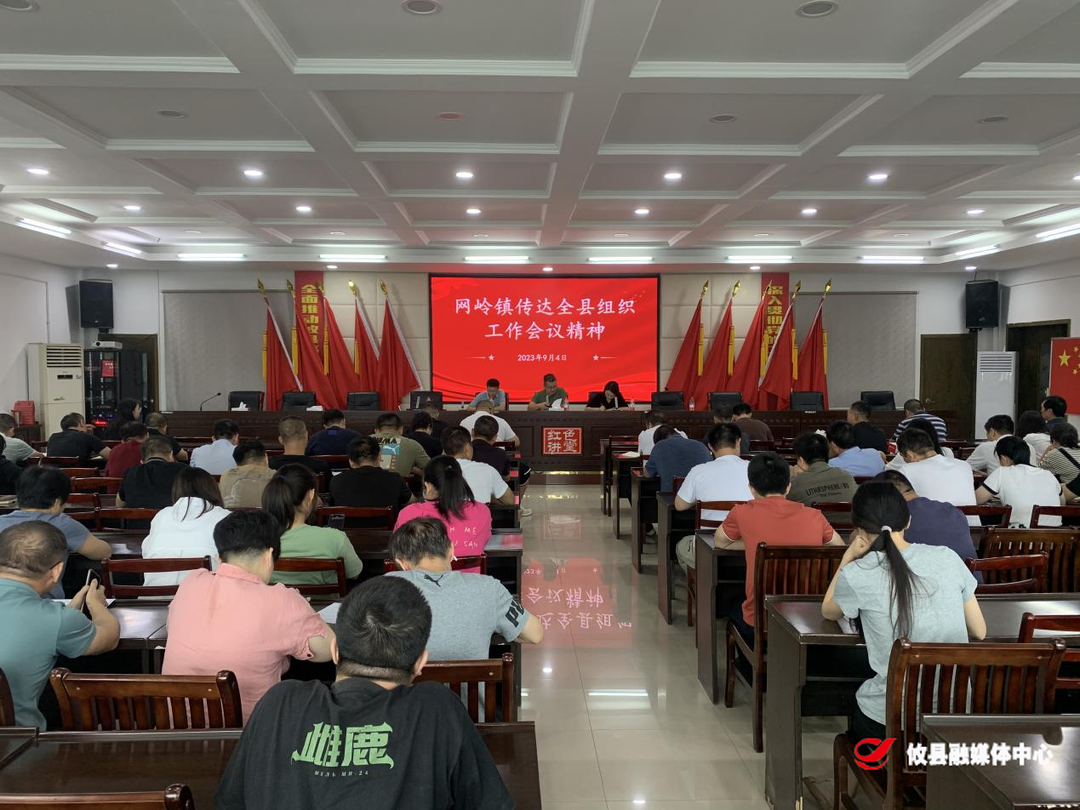 网岭镇传达全县组织工作会议精神