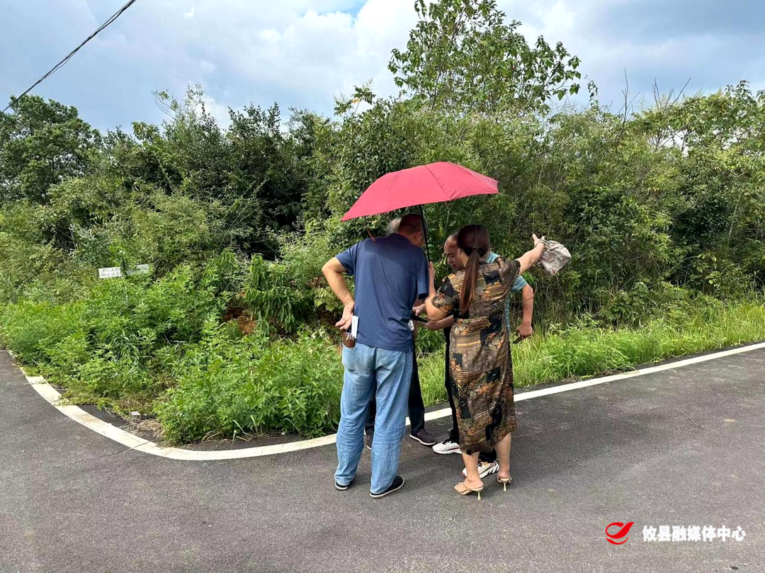 网岭镇：聚焦产业发展 推动项目落地