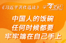 《习近平著作选读》学习笔记：中国人的饭碗任何时候都要牢牢端在自己手上