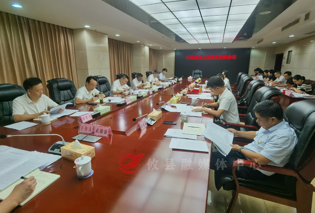 攸县人民政府召开党组会议