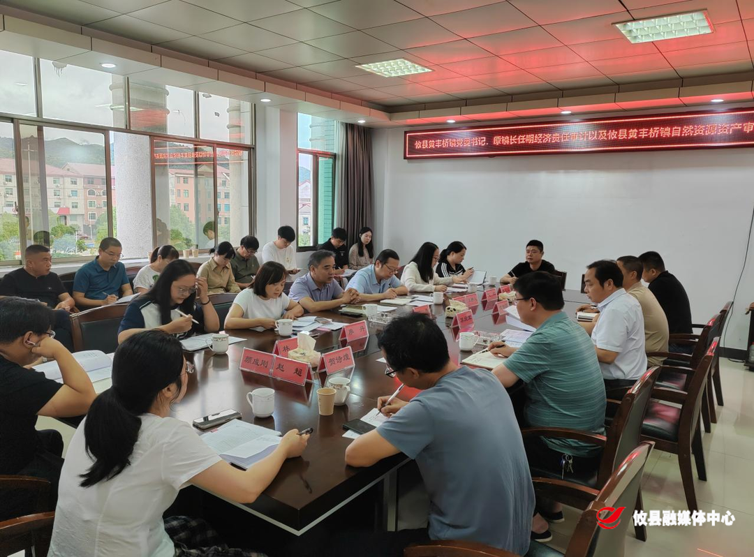 攸县审计局启动黄丰桥镇党委政府领导干部经济责任和自然资源资产审计