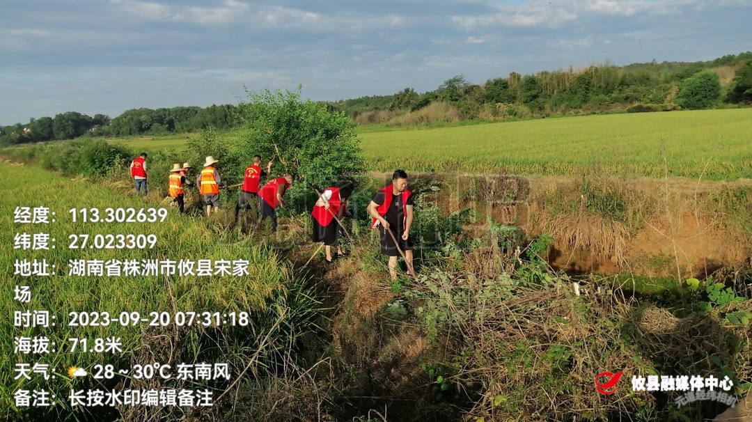 江桥街道：清理河道垃圾 美化人居环境