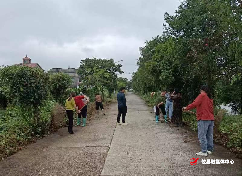 网岭镇里旺村：发挥党员作用 彰显女性力量