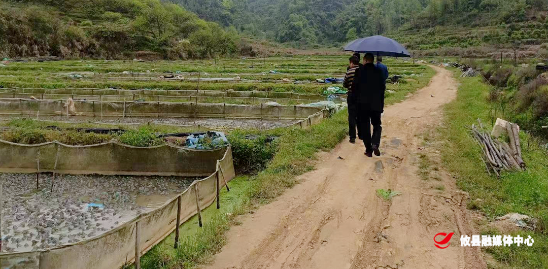 莲塘坳镇：做好耕地守护者，守住粮食安全线