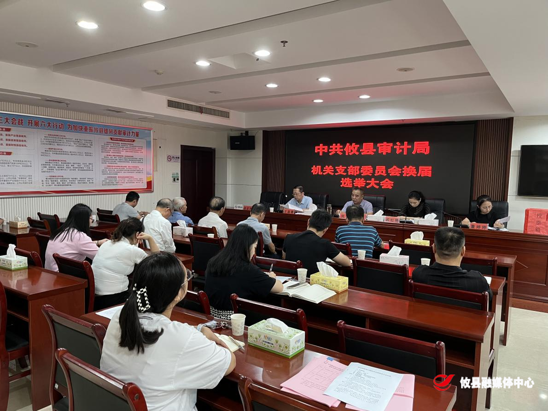 攸县审计局机关党支部召开换届选举党员大会